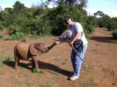 Baby elephant - Kenya.jpeg